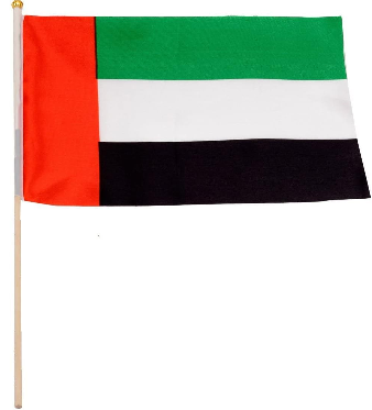 12 Pieces UAE National Day Logo Flag